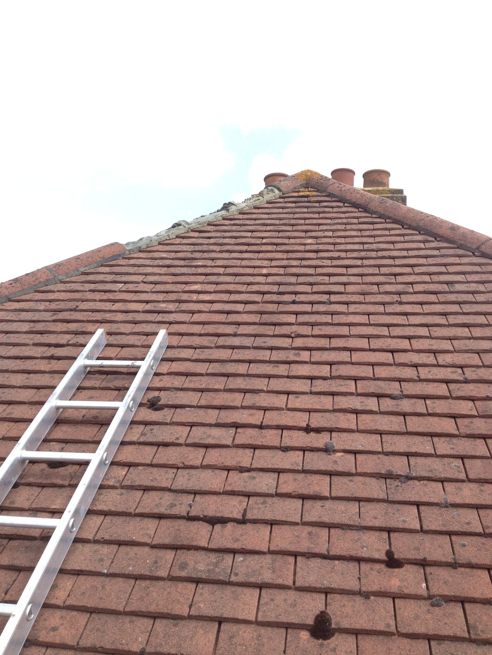 Inspection and repair of a Clapham roof
