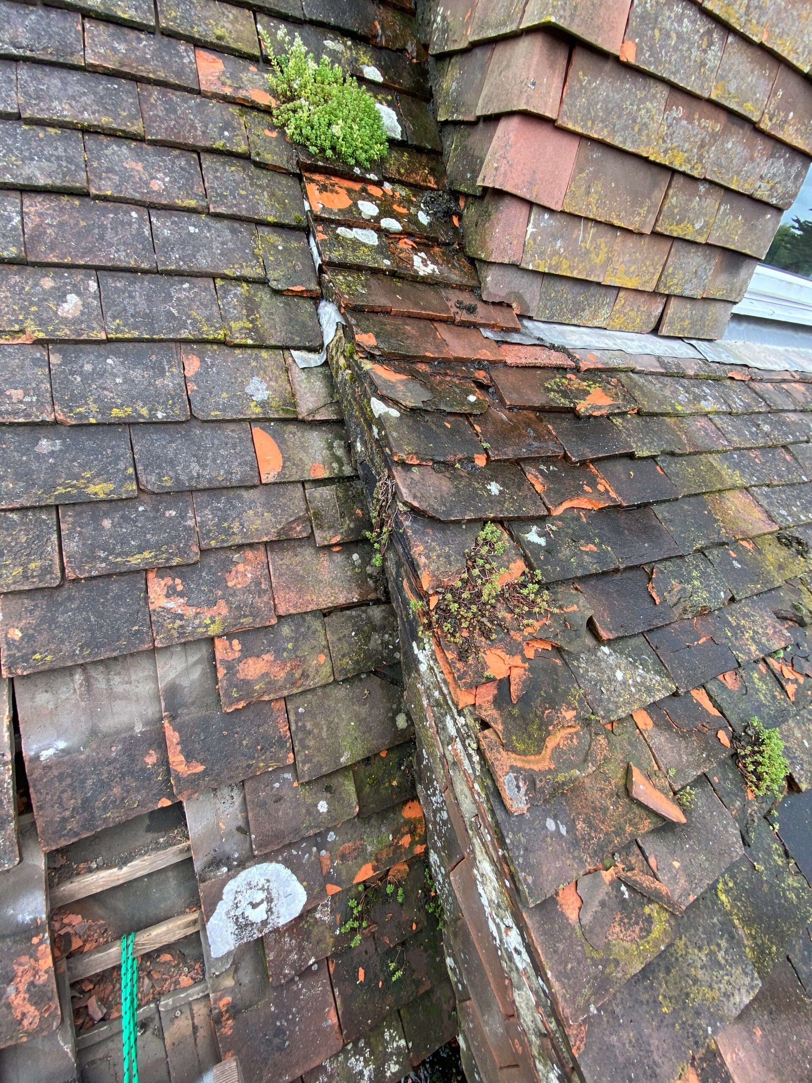 Tiled roof before repair in Clapham